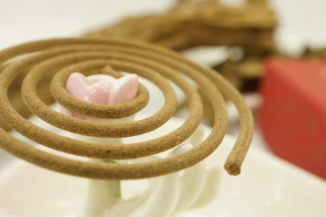 Hainan Island Single-Ingredient Incense Coil (S2802)