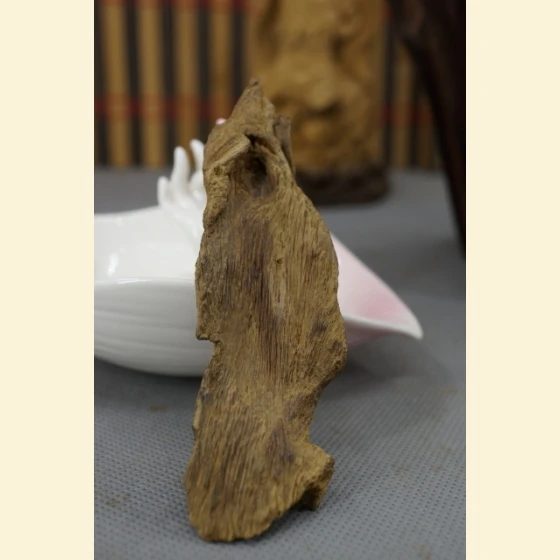 Vietnamese green agarwood, ripe and sinking rapidly, 8.3g