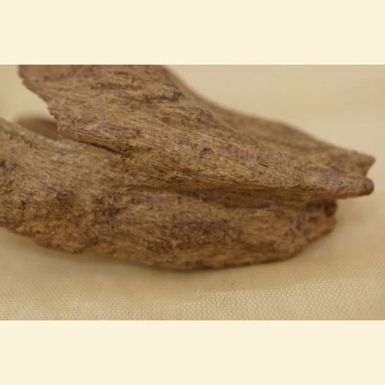 9.79g of red clay from Quang Binh, Vietnam, sinks rapidly.