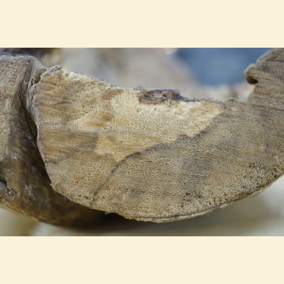 Bodhisattva Agarwood with Unique Flavor 122.9g