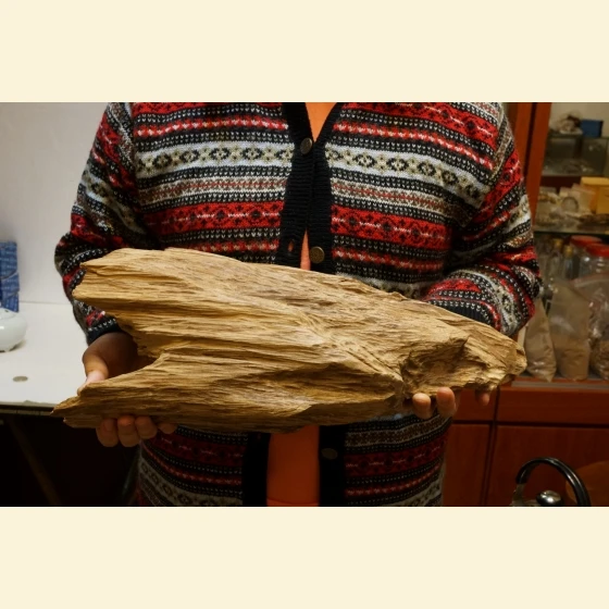 Wild Papuan driftwood