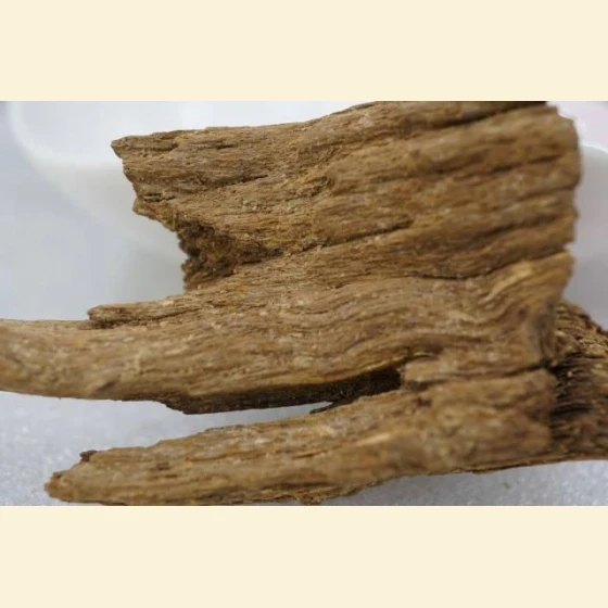 11.5g of Fusen red soil floating agarwood