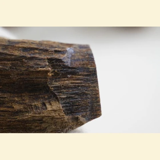 Wild white agarwood from Vietnam (2.89 grams)
