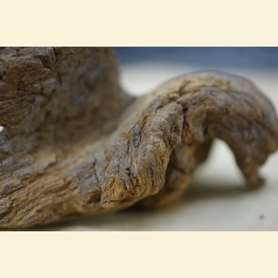 16 grams of Vietnamese Phu Son red clay sinking soil