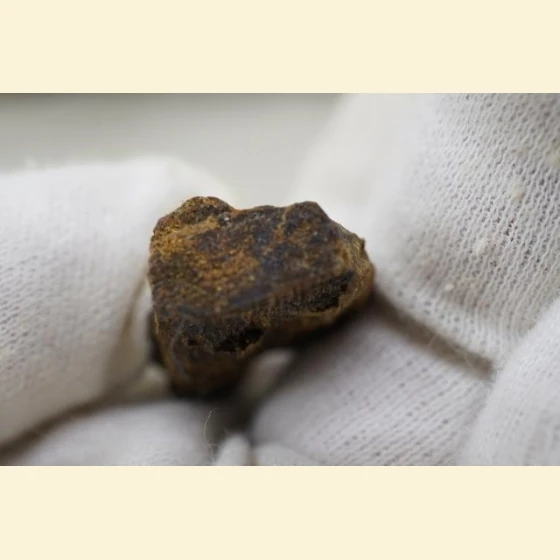 Wild white agarwood from Vietnam (2.89 grams)
