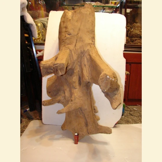 Dongga Old Mountain Head Large Items
