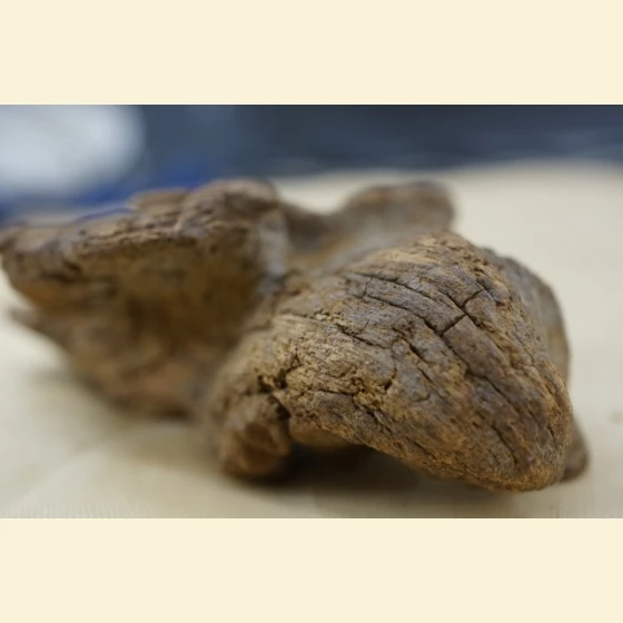 16 grams of Vietnamese Phu Son red clay sinking soil