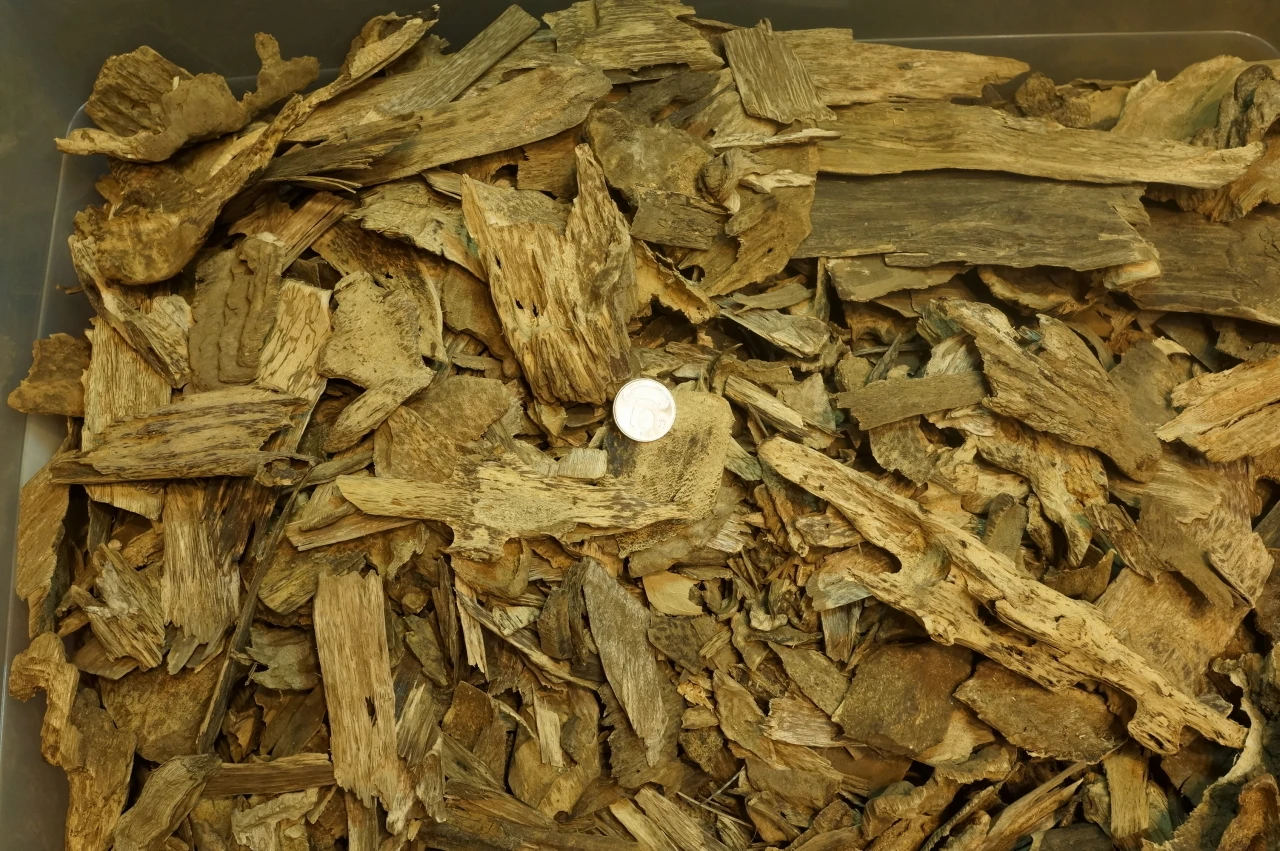 Vietnamese series of agarwood chips