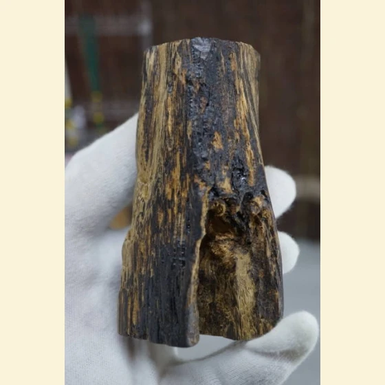 Early Brunei black oil soft silk, sinking rapidly, 88.51 grams.