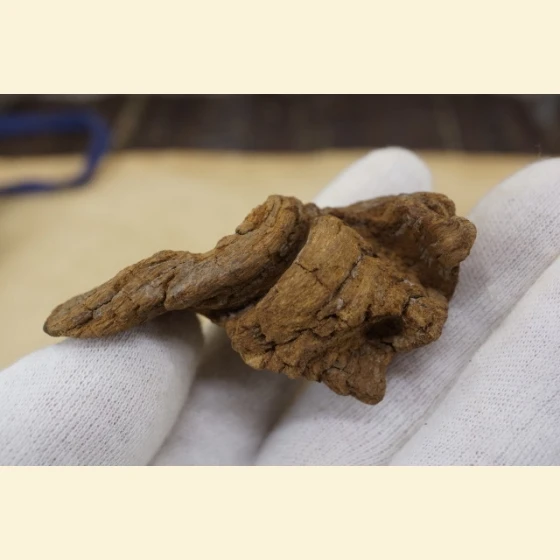 16 grams of Vietnamese Phu Son red clay sinking soil