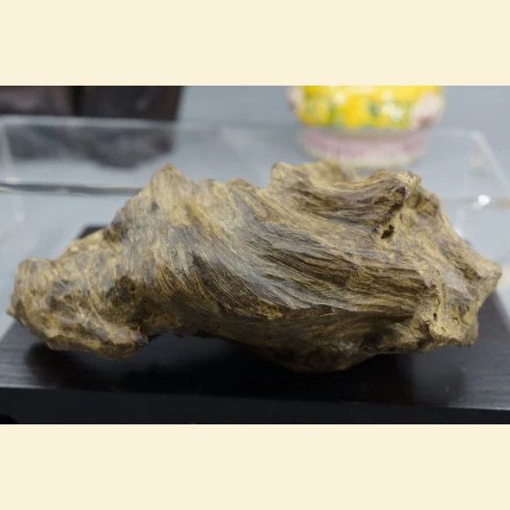 Indonesian Tarakan Flavor