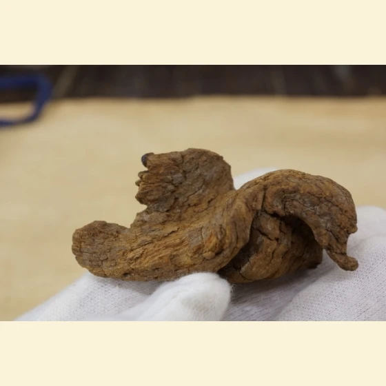 16 grams of Vietnamese Phu Son red clay sinking soil