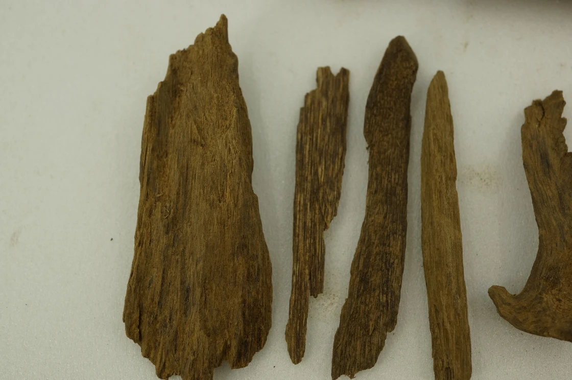 Papua agarwood slices