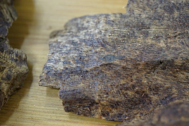 Vietnamese Hoi An agarwood slices with worm-eaten inclusions ~ per gram