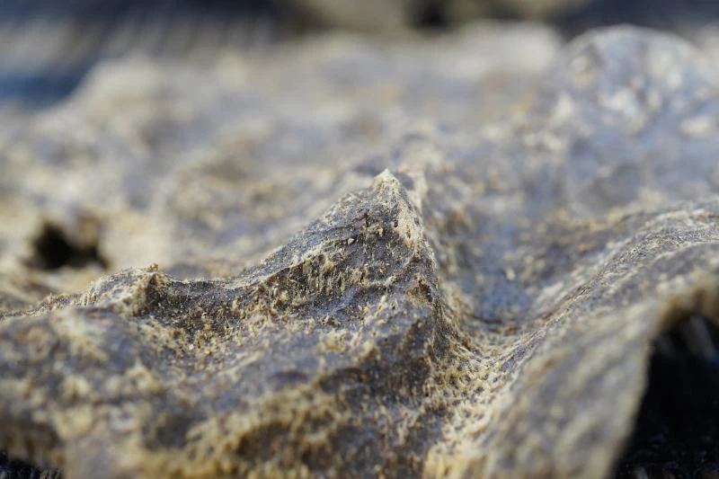 Early Hong Kong agarwood / per gram