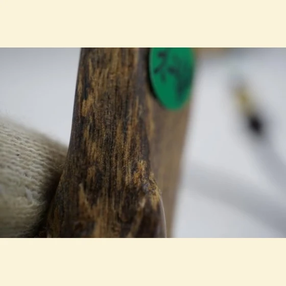 3.26g of Tarakan agarwood
