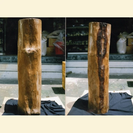 Indian Old Mountain Wood