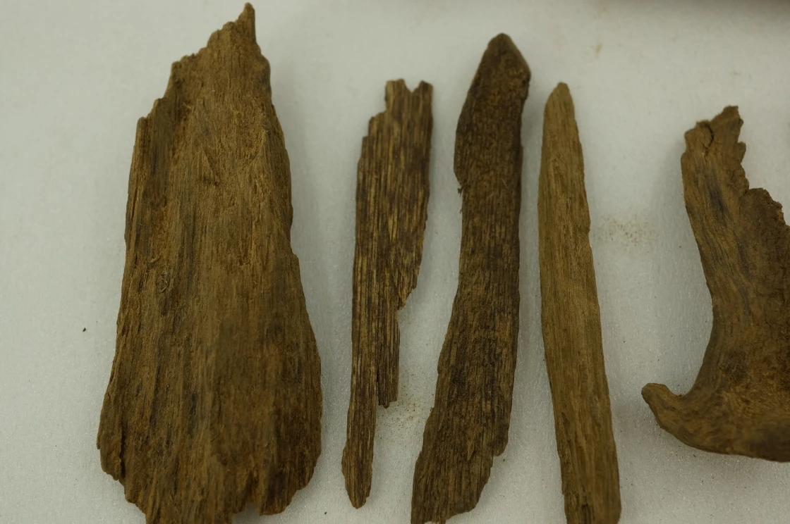 Papua agarwood slices