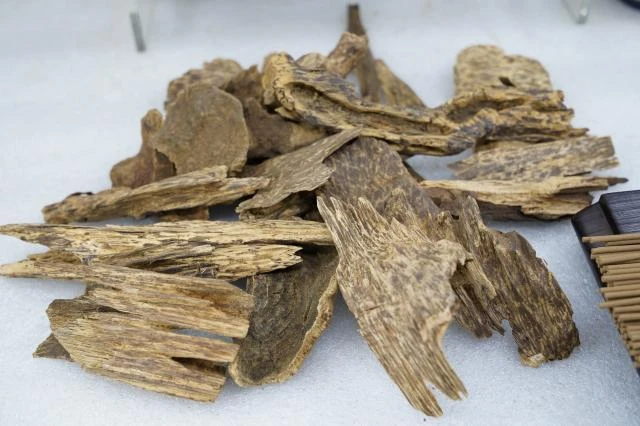 Top-grade wild Vietnamese Hoi An agarwood (per gram)
