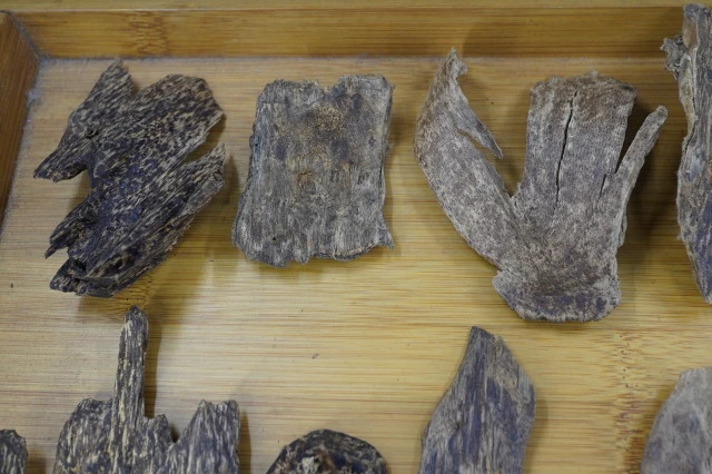 Vietnamese Hoi An agarwood slices with worm-eaten inclusions ~ per gram
