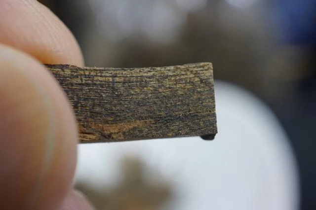 Wild Hoi An Mineralized Agarwood Beads from Vietnam (per gram)