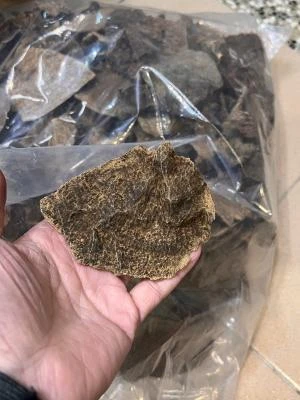 Thick-shelled fruit from Lao Hue An, Vietnam (per gram)