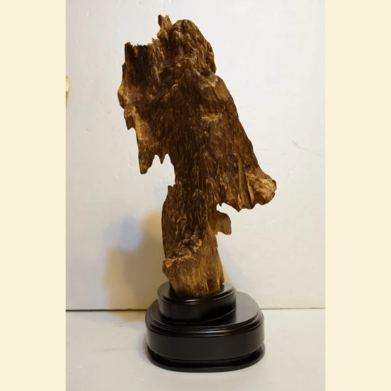 Wild Vietnamese large agarwood
