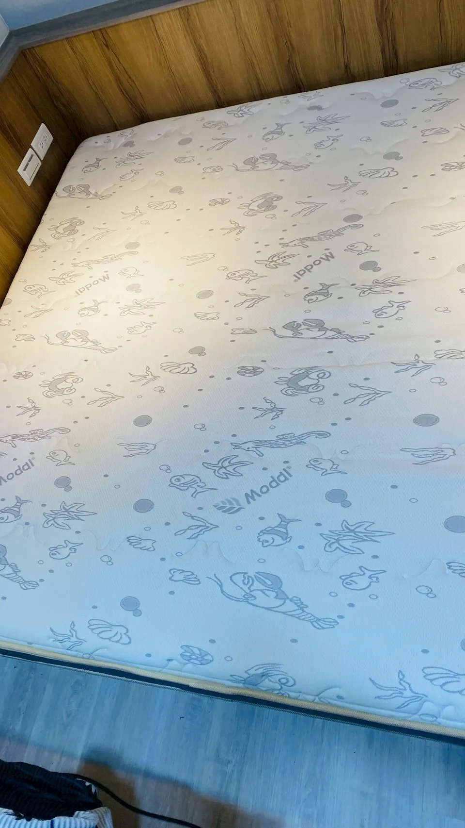 清洗床墊-北屯床墊清洗/南屯床墊清洗