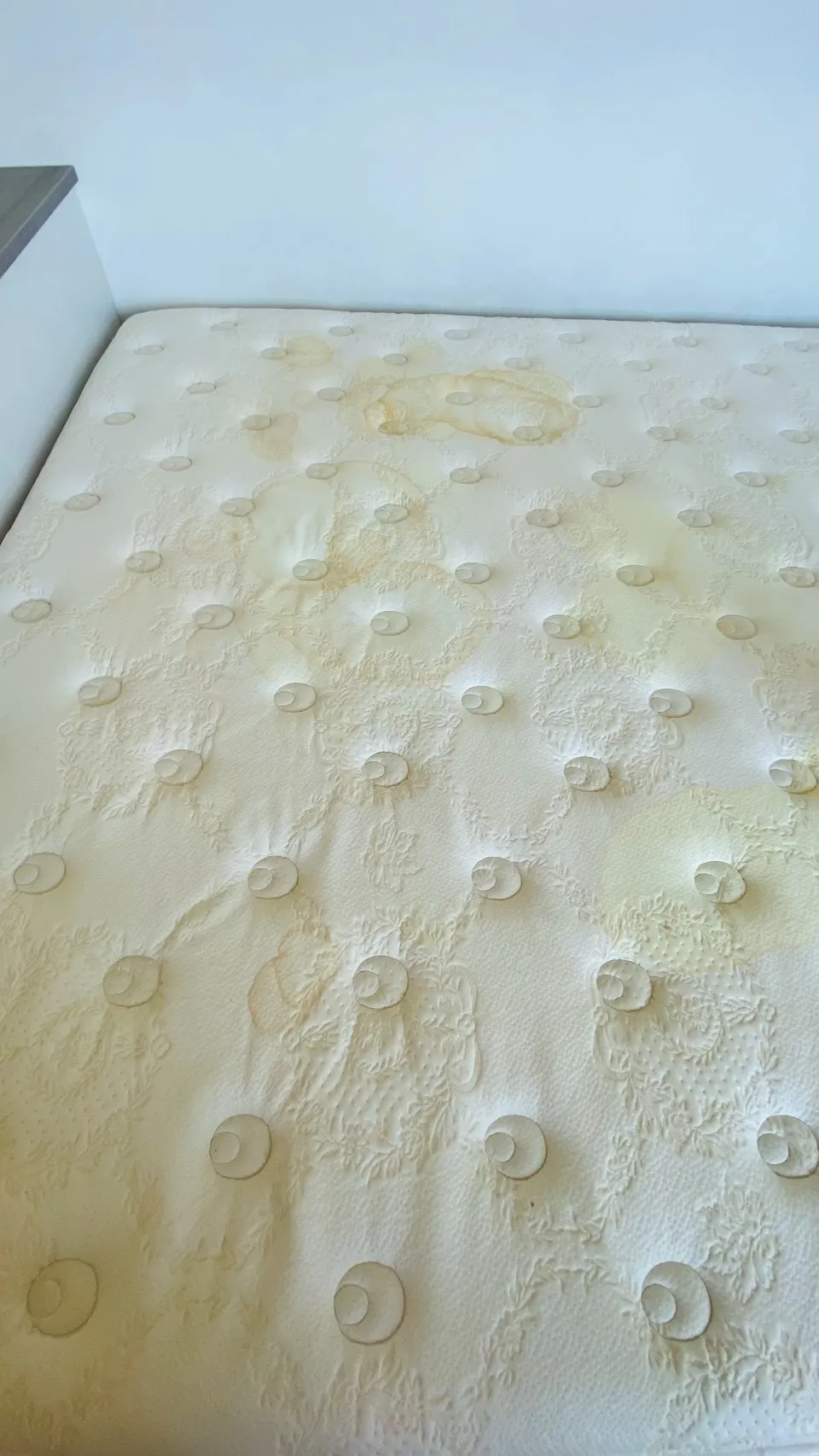 清洗床墊-台中床墊清洗/西屯床墊清洗