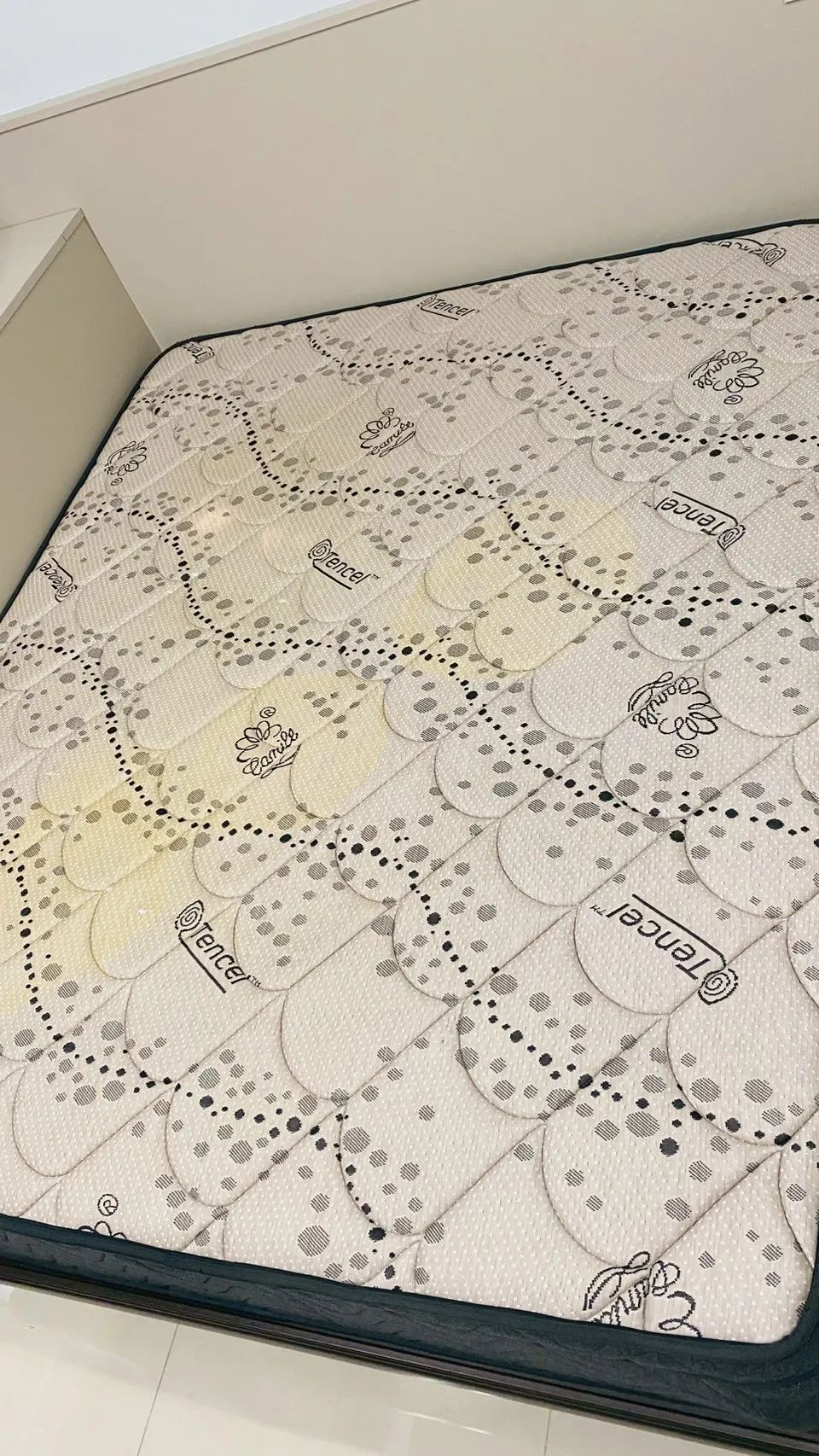 清洗床墊-北屯清潔公司/南屯清潔公司