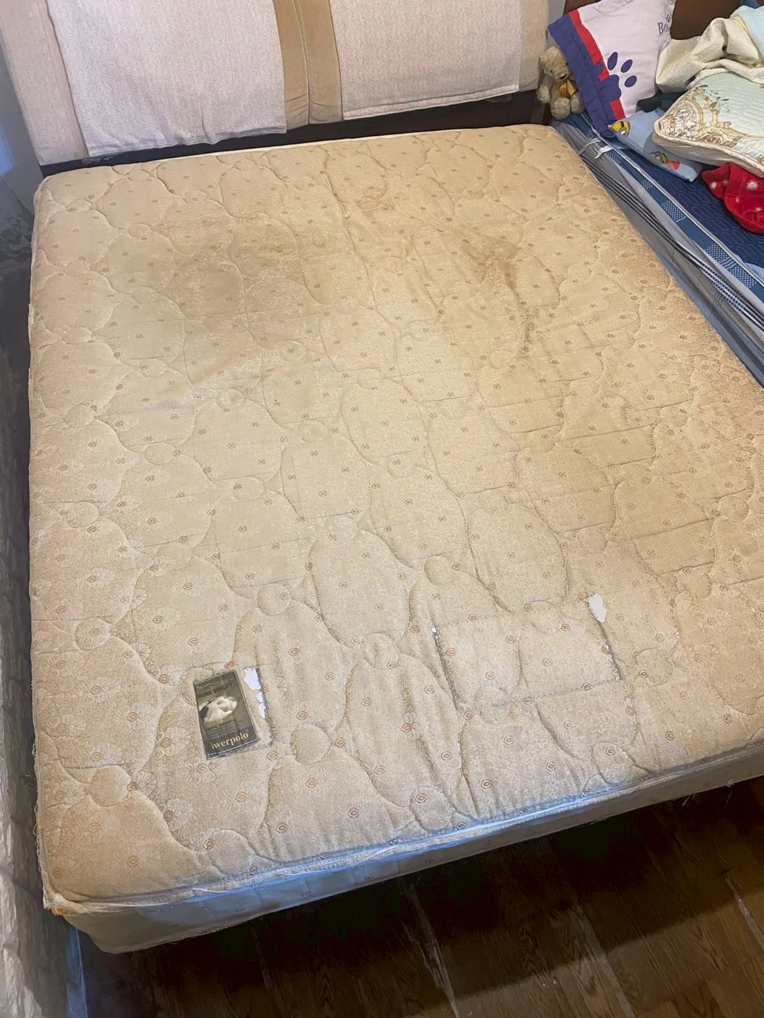 清洗床墊-新竹床墊保養/苗栗床墊保養