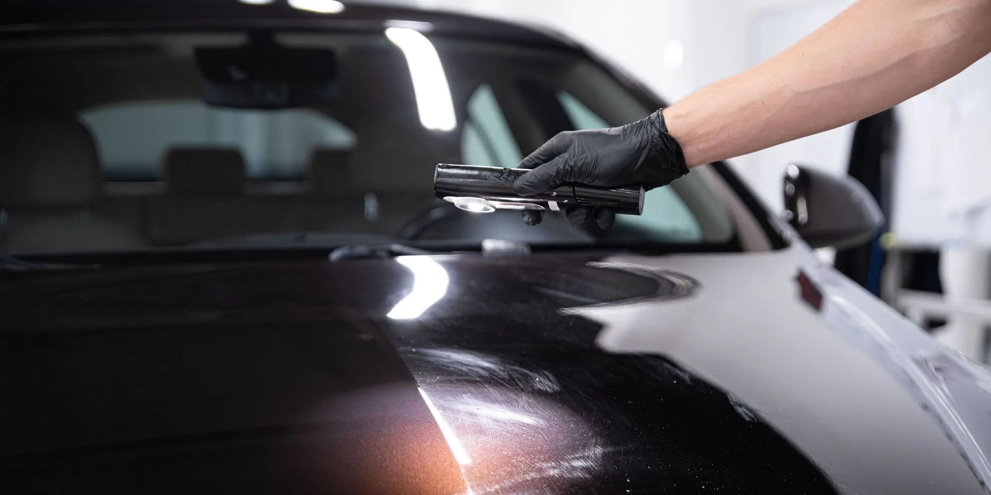 ShineSurface – Coati