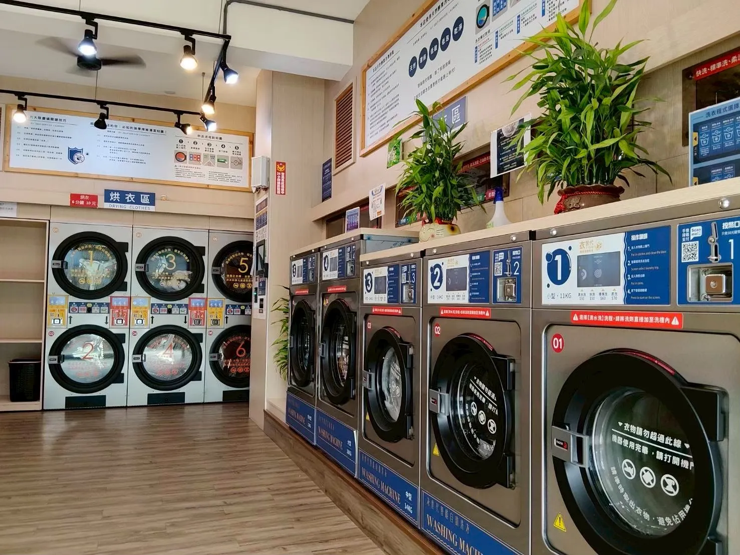 苗栗縣_竹南維新