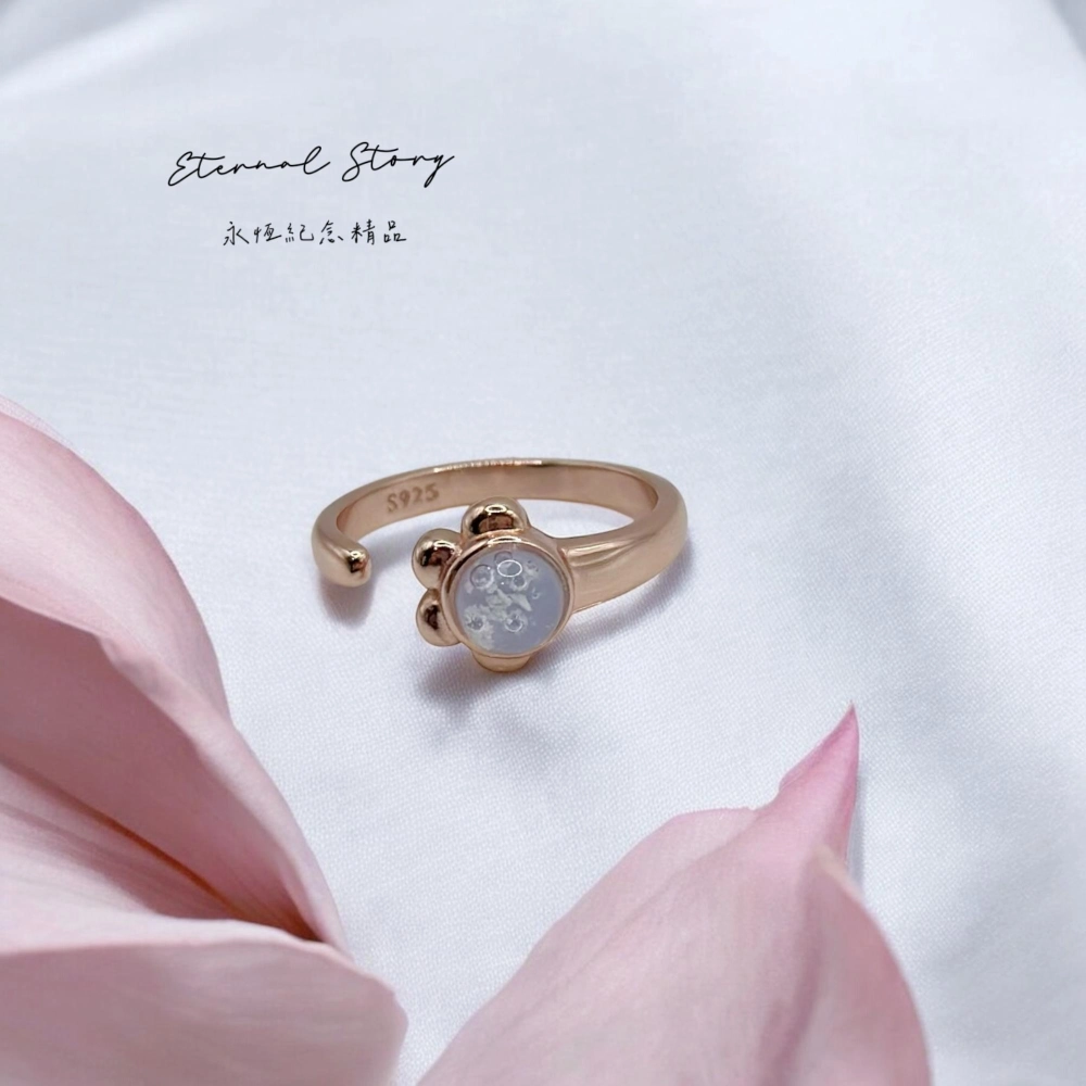 小爪爪-透光系列