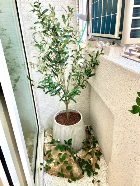 陽台作品