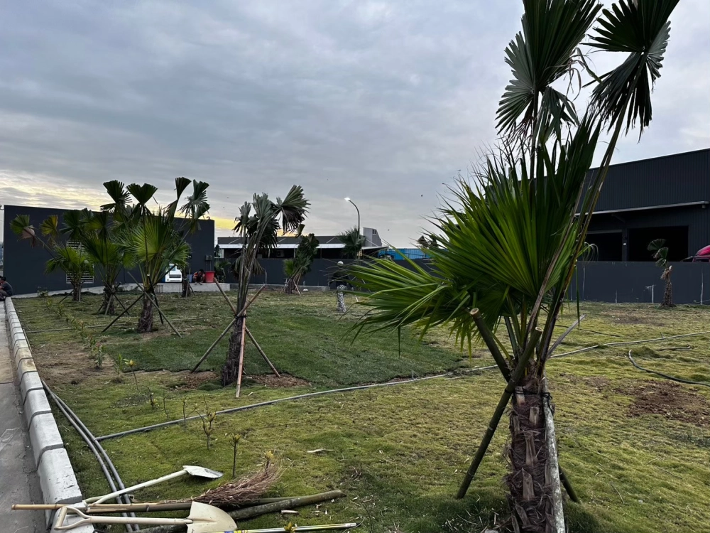 嘉里大榮物流前鎮營業所