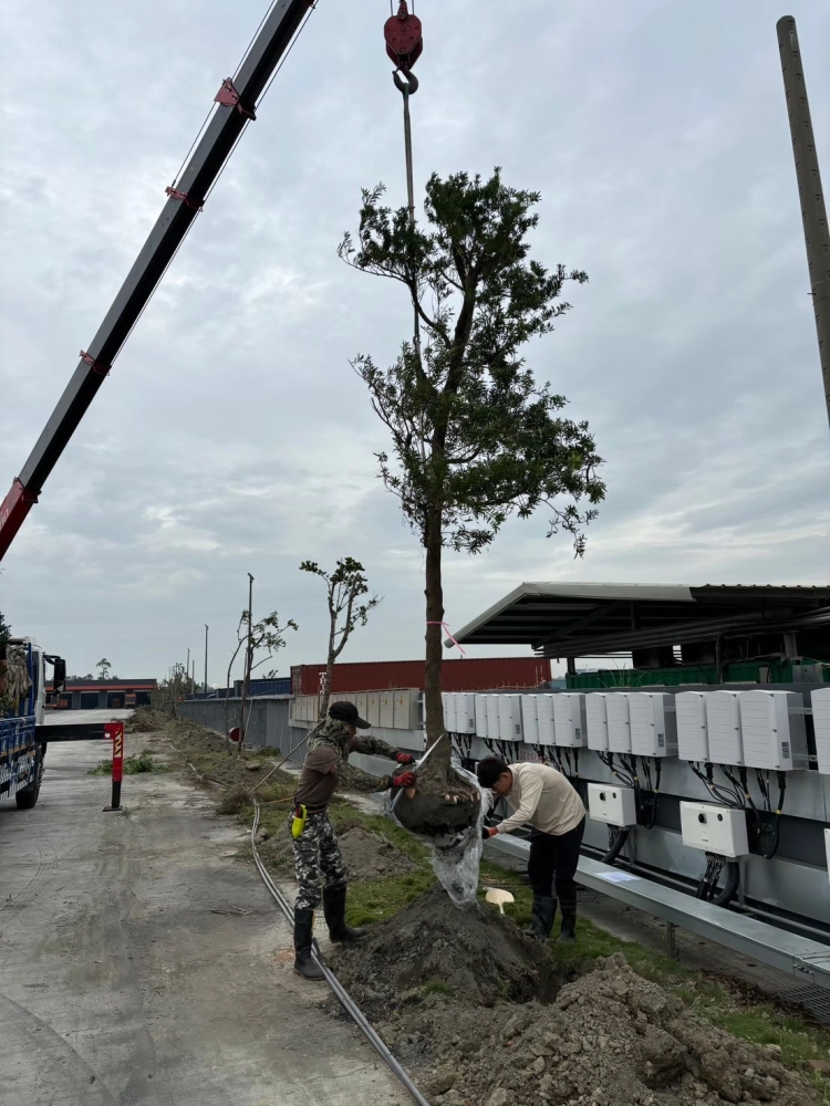 嘉里大榮物流前鎮營業所