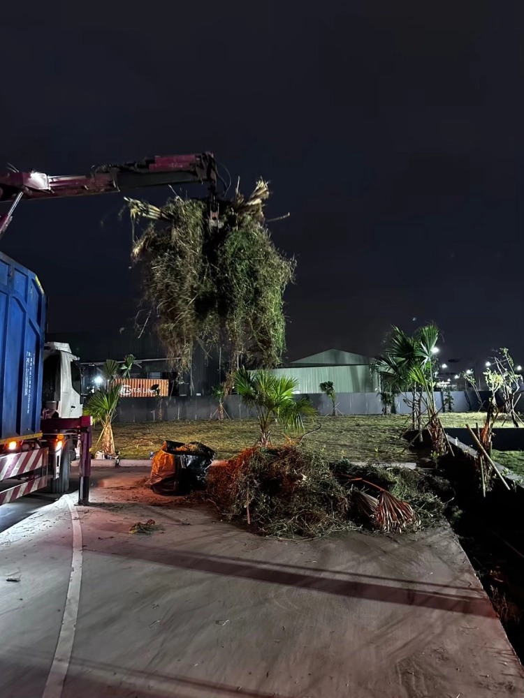 嘉里大榮物流前鎮營業所