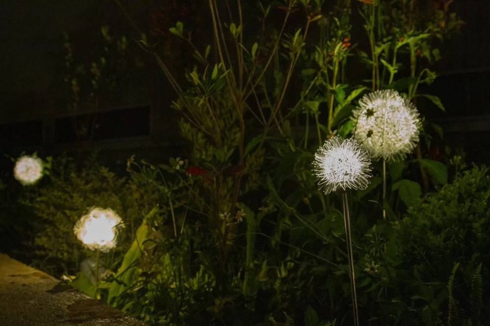 中台科技大學-中台湖