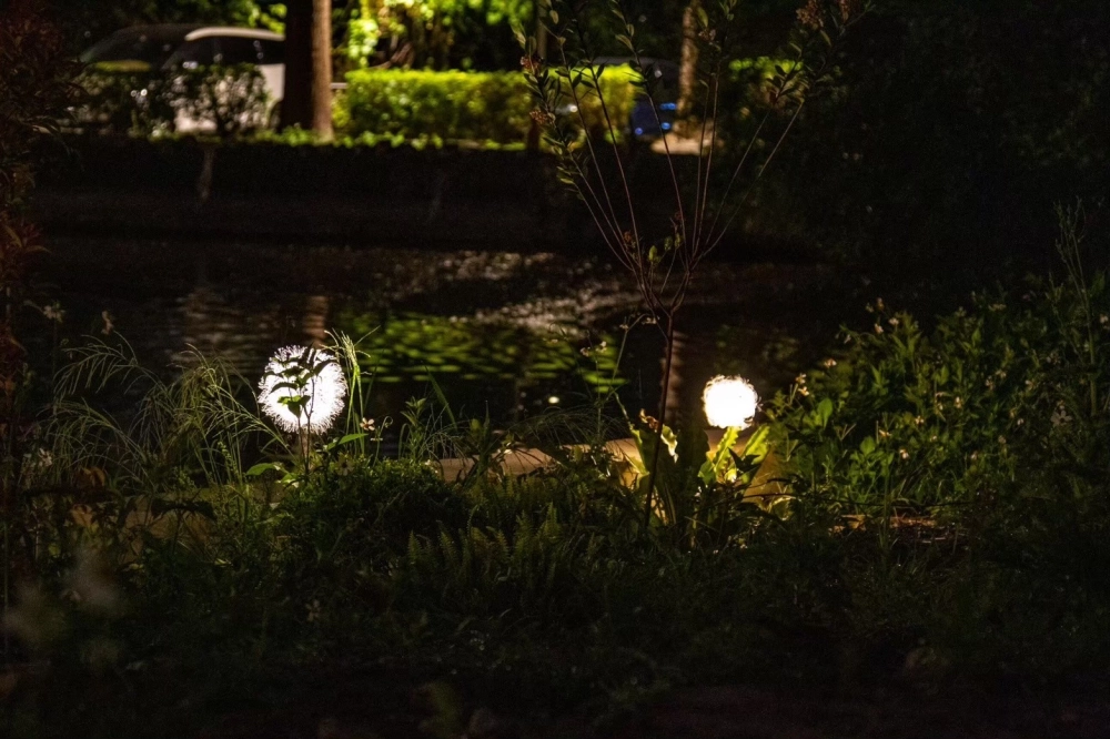 中台科技大學-中台湖