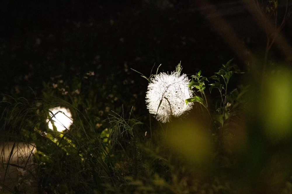 中台科技大學-中台湖