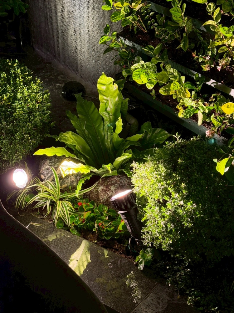 北屯私宅透天景觀