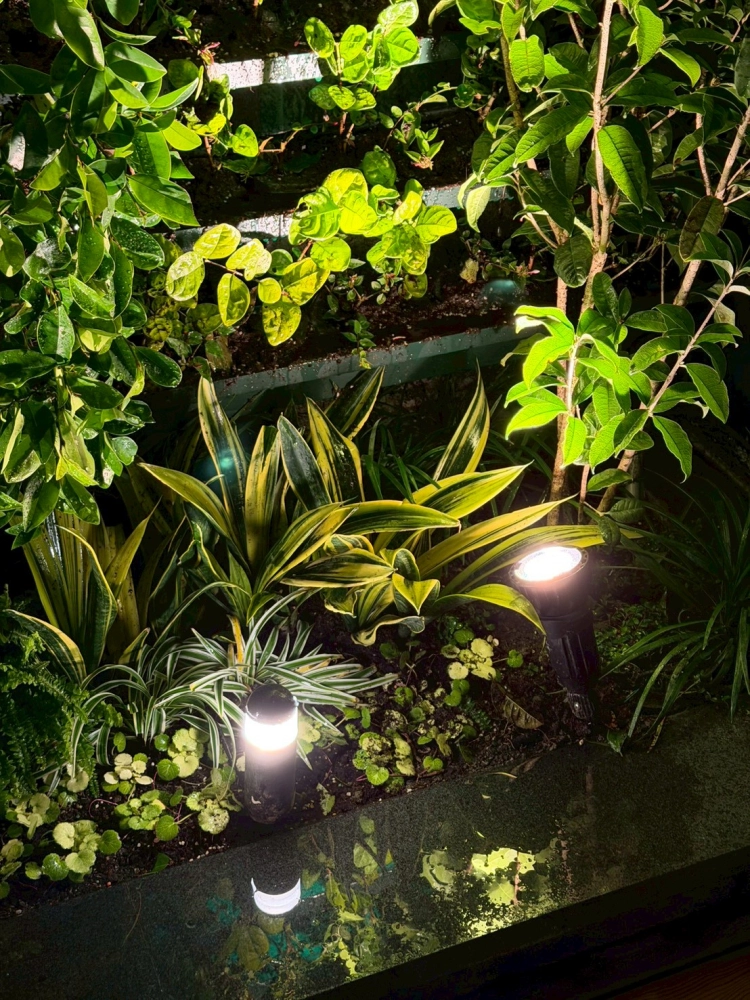 北屯私宅透天景觀