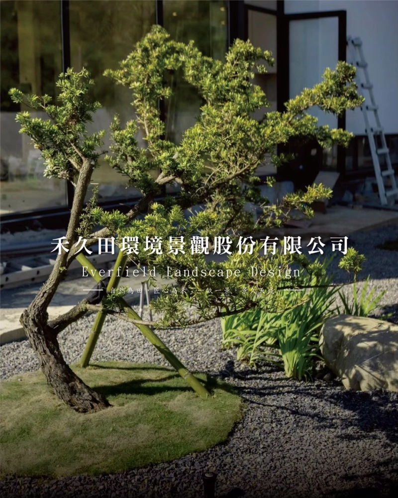 北坑巷山莊 景觀設計 景觀綠化