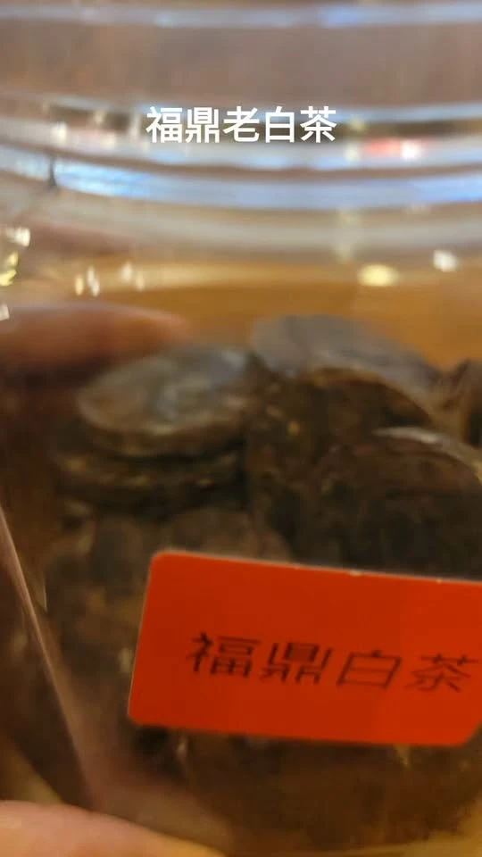 福鼎老白茶
