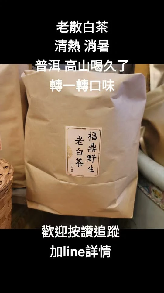 老散白茶