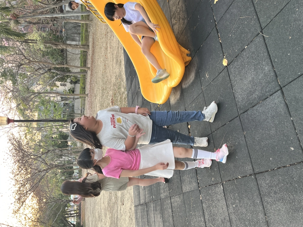 IO3-1 ! The King's Guard !