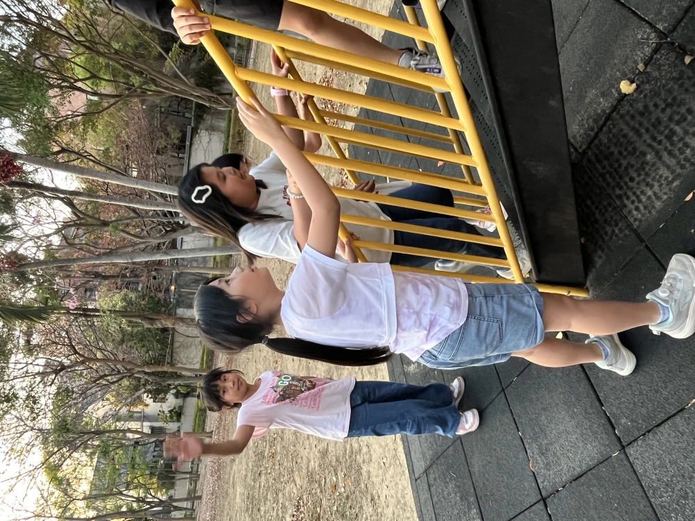 IO3-1 ! The King's Guard !