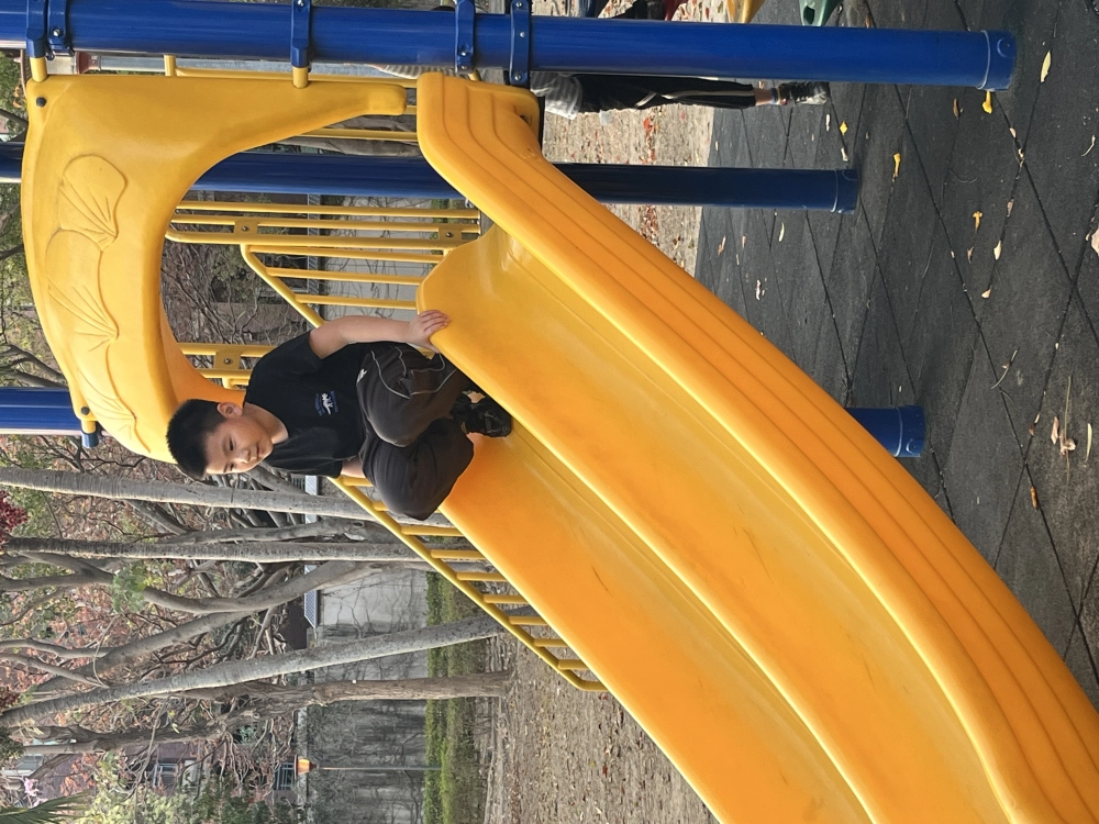 IO3-1 ! The King's Guard !