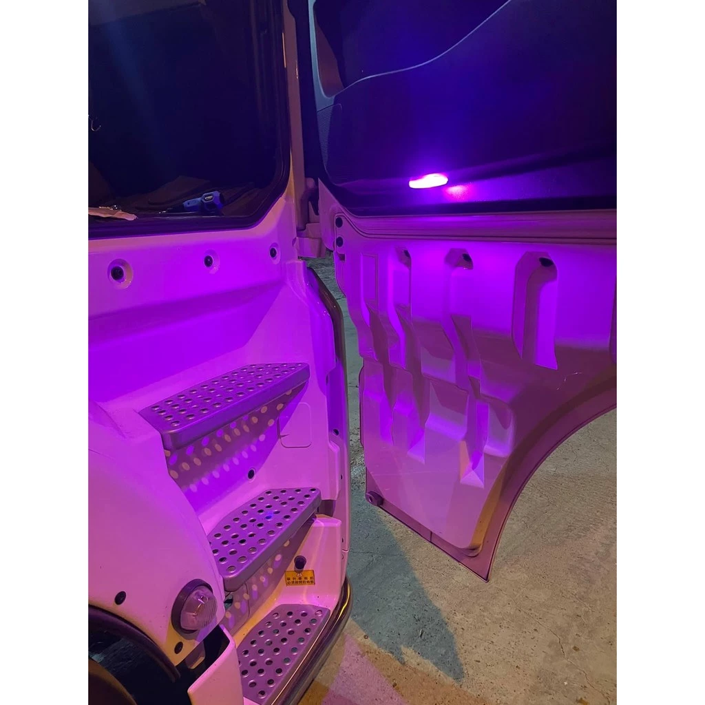 【高總裁LED 】台灣現貨 LED 室內燈 雙尖 T10 方向燈 車門燈 閱讀燈 腳底燈 12V 24V 車燈